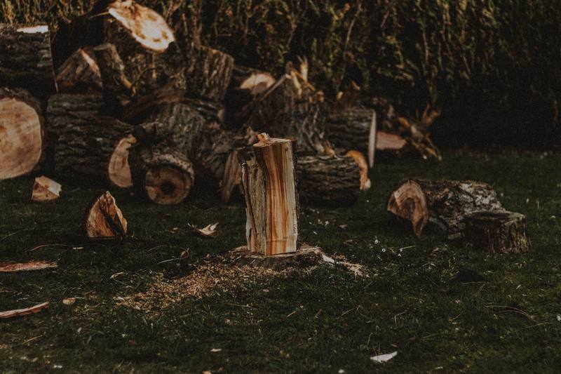 Antelope neighborhood homes - Roseville Stump Grinding