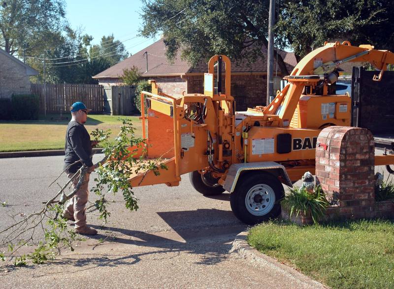tree removal residential - Roseville Stump Grinding
