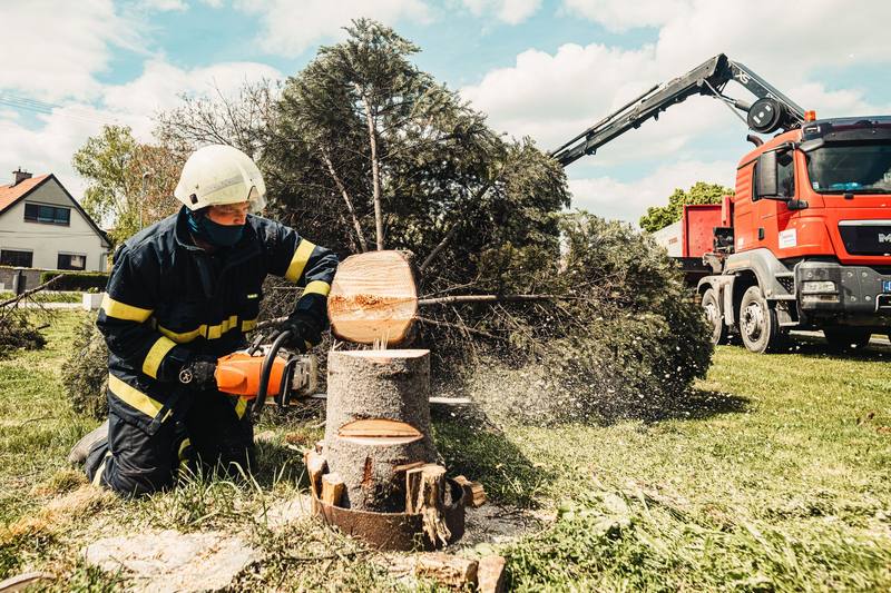 Stump Removal - Roseville Stump Grinding